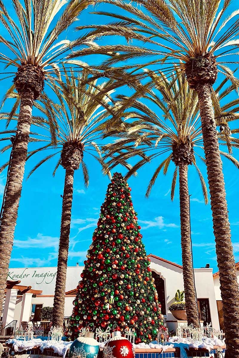 Christmas tree surrounded by palm trees