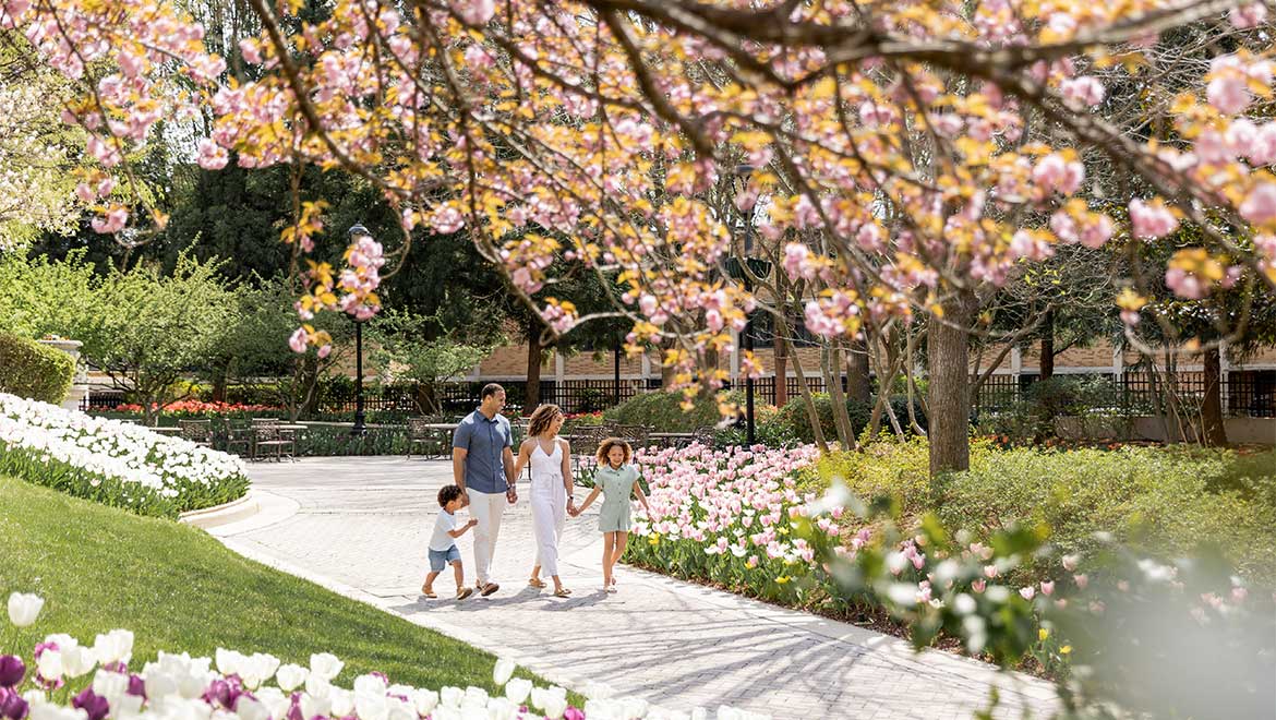 Family strolling through the park