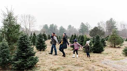Family shopping for Christmas tree