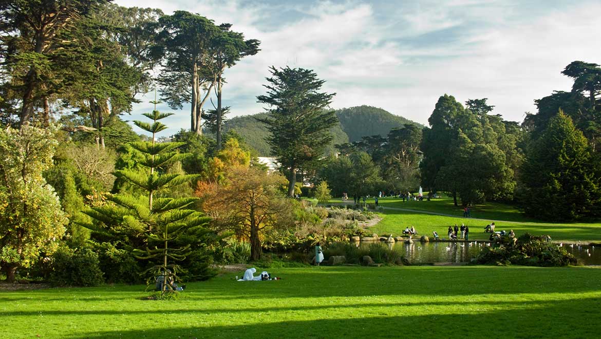 Golden Gate park