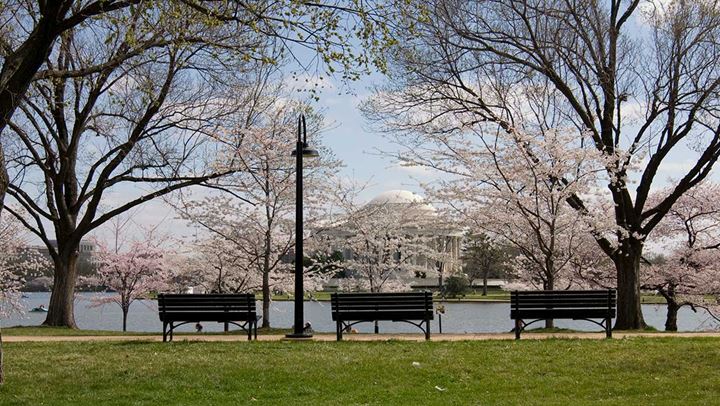 Park with river view