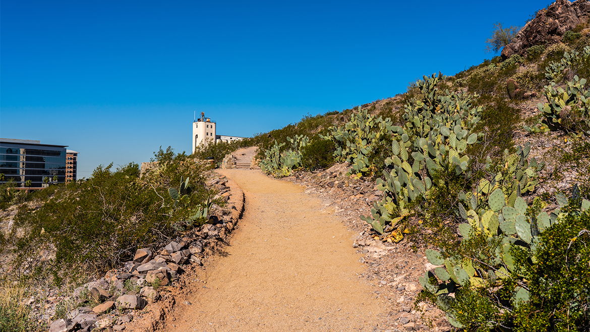 Walking Trail