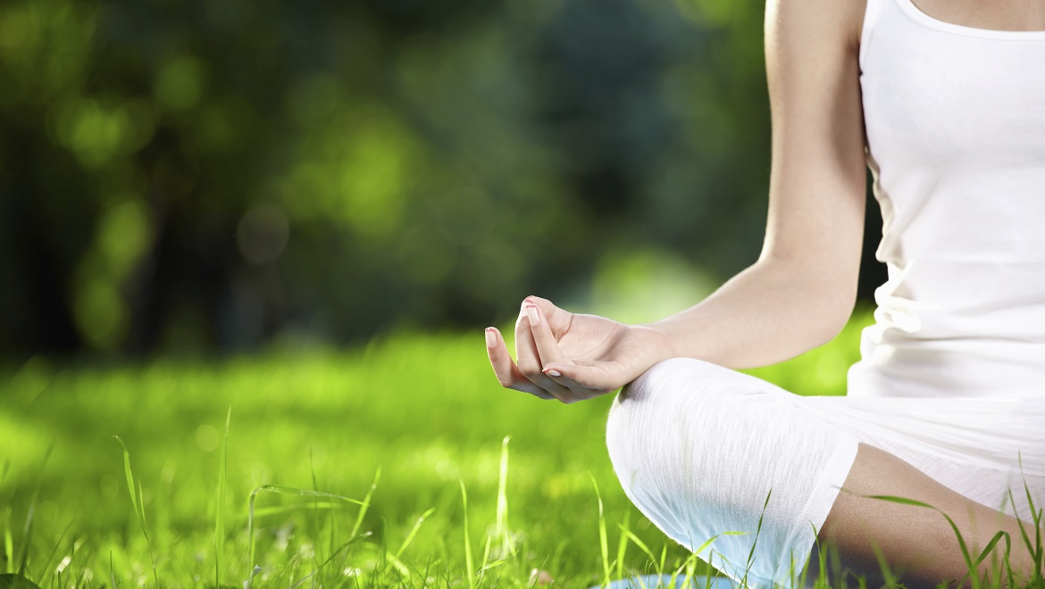 Meditation in the Grass