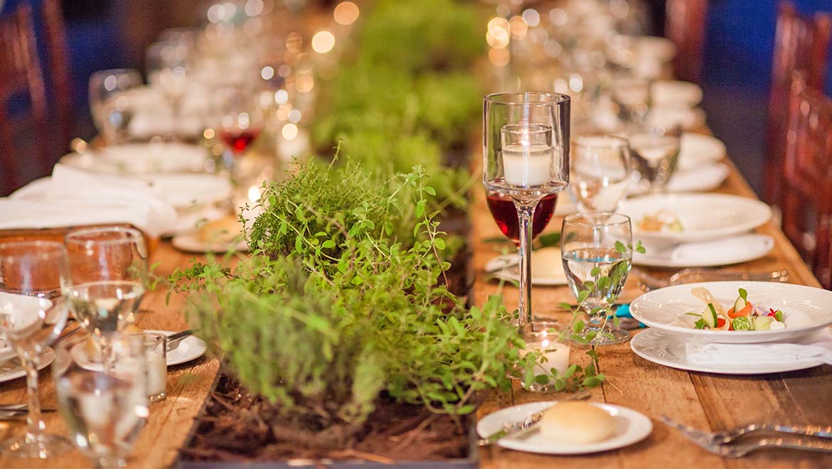 Sprouting Project Dinner