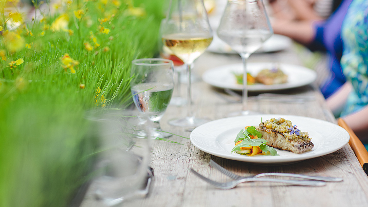 sprouting project dinners