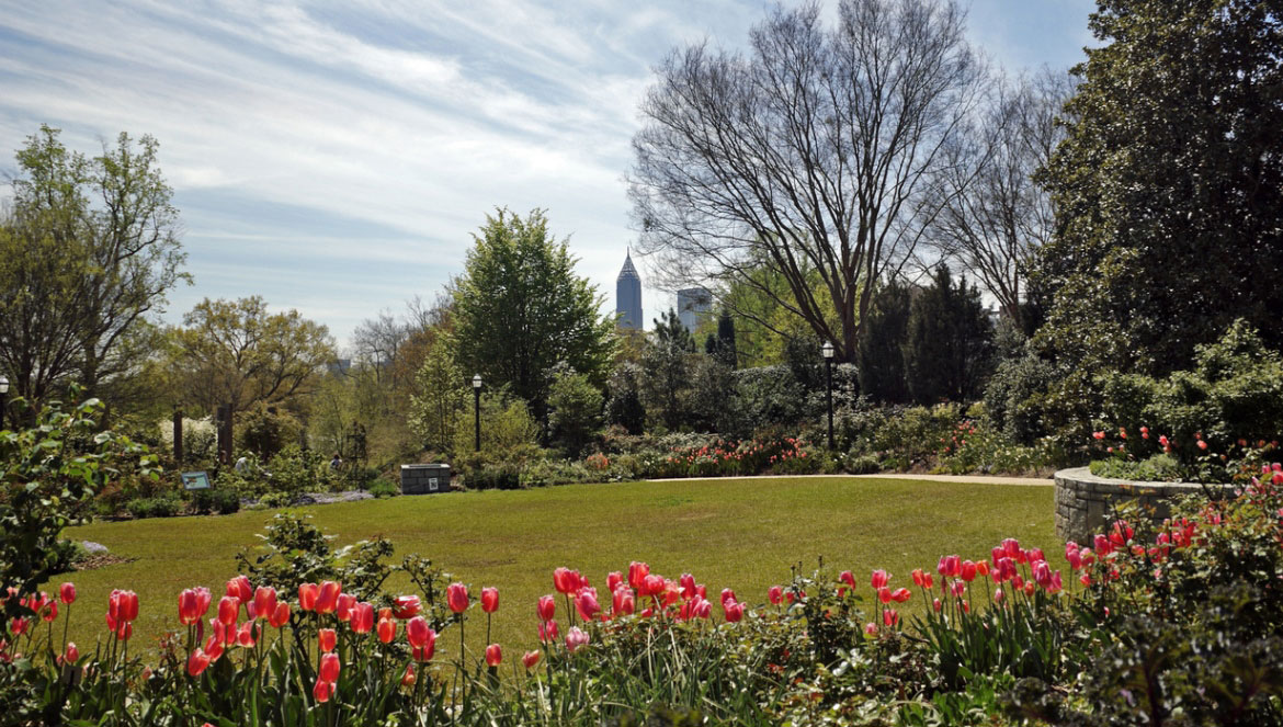 Atlanta Botanical Gardens