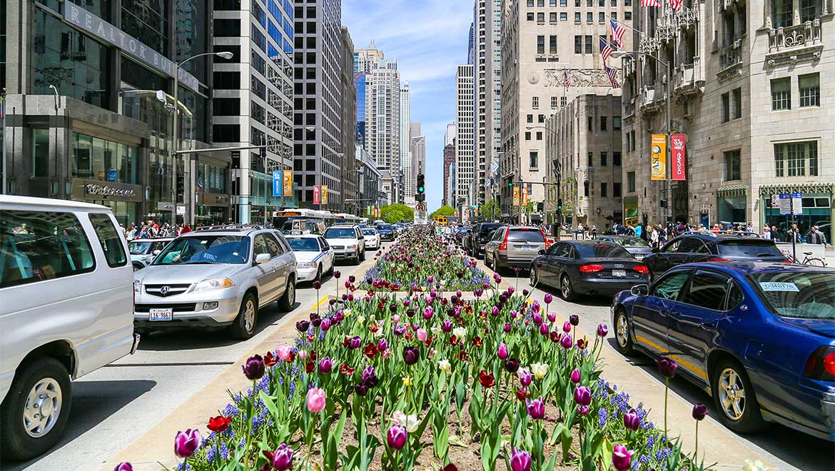 Magnificent Mile