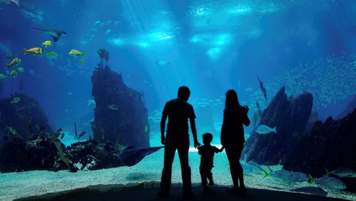 Family at aquarium