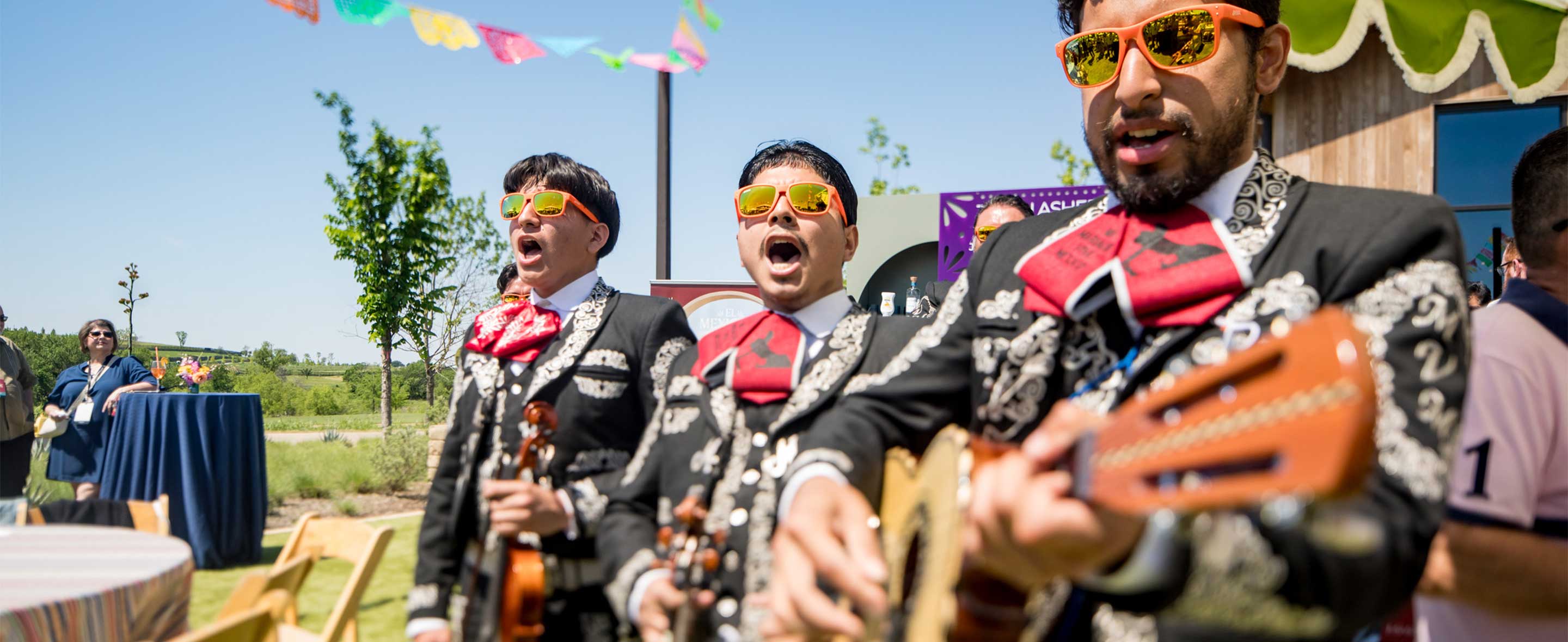 Margaritas &amp; Mariachis
