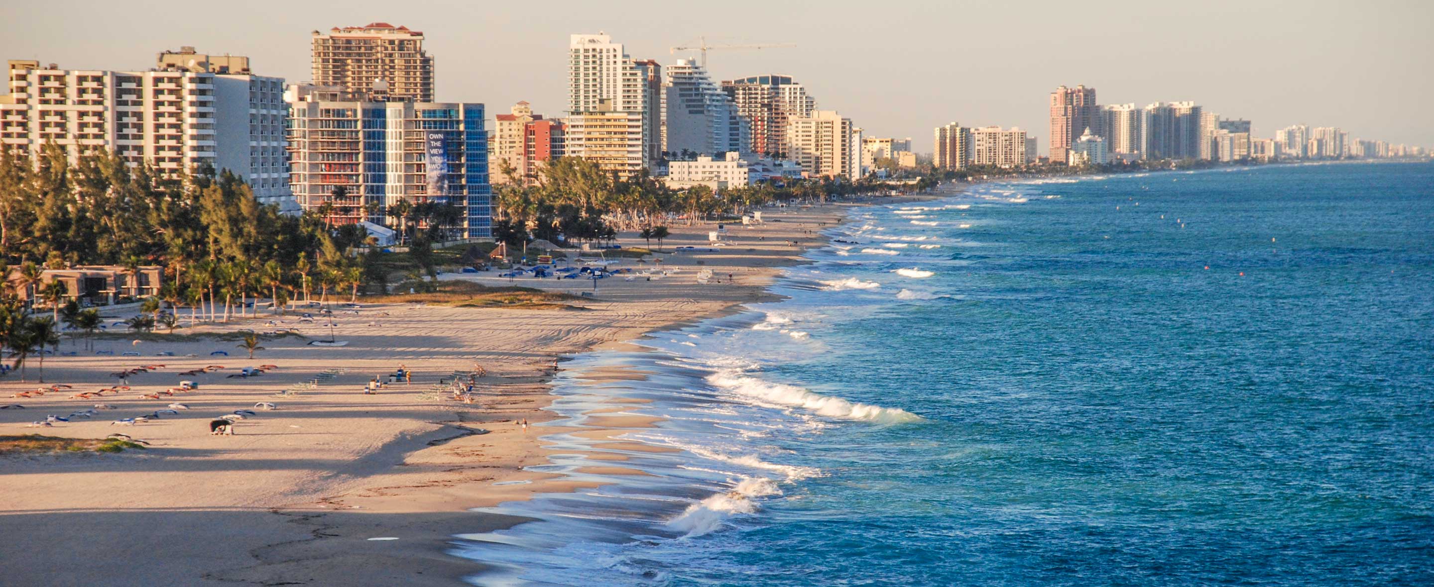 Aerial view of beach