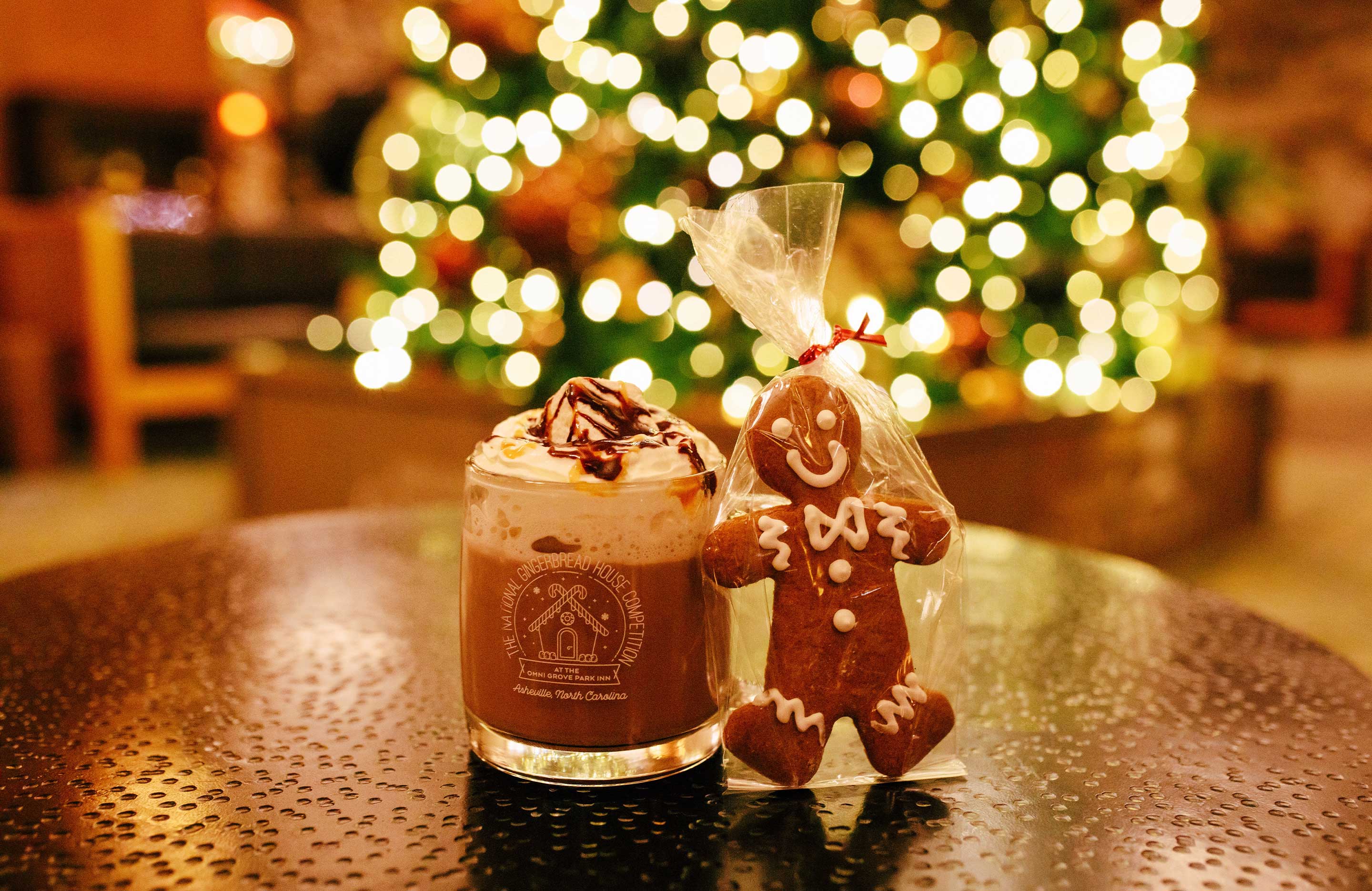 Cup of hot cocoa and a gingerbread cookie