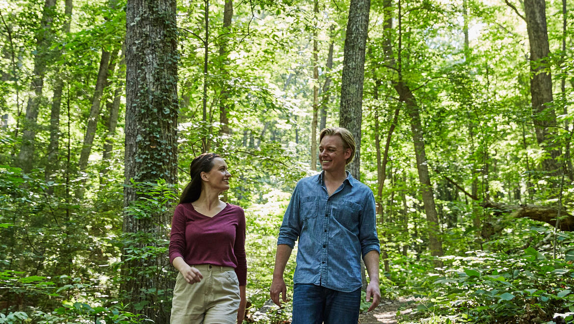 Hiking in Asheville -  