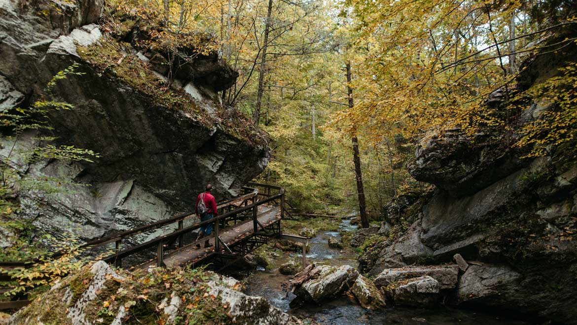 Person walking on a bridge.