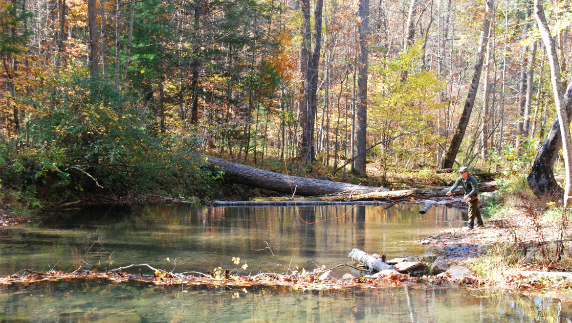 Fly fishing in Hot Springs 