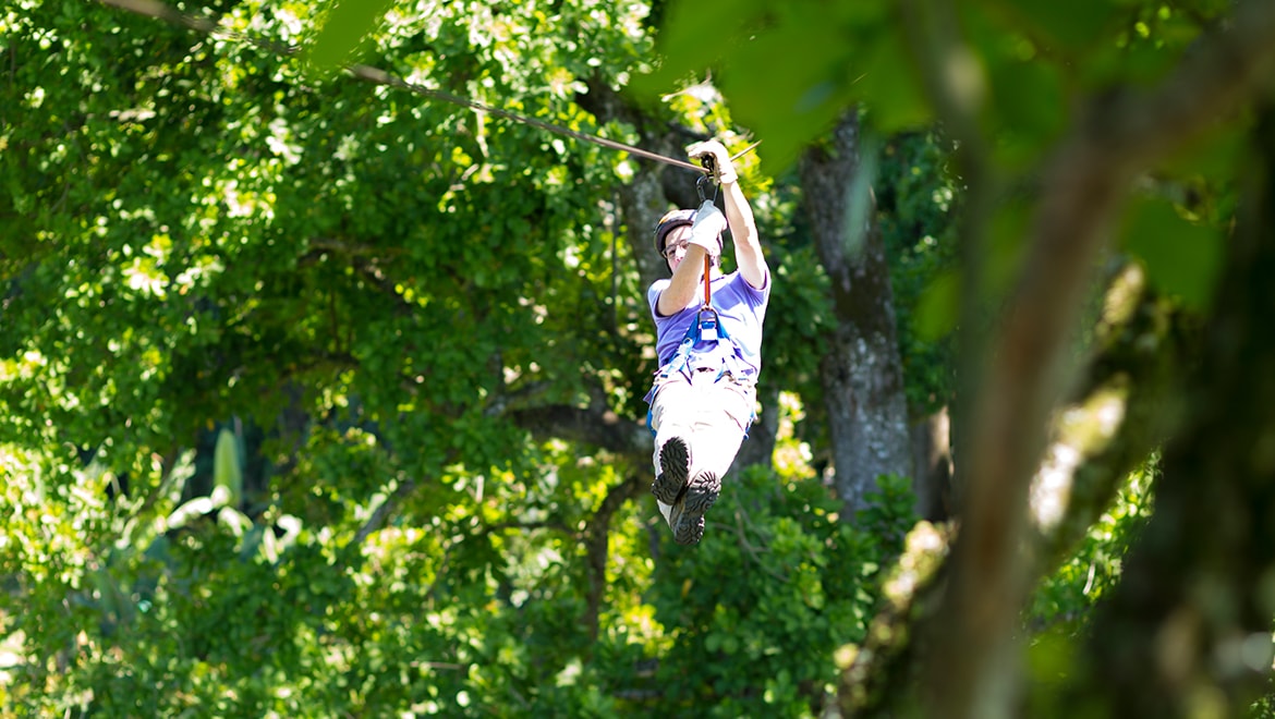 The Ridge Runner Zip Tour