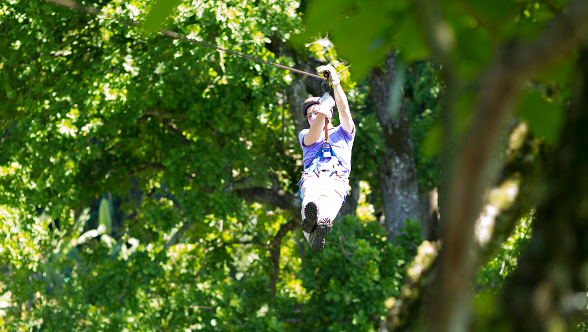 Zip Line 