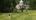 Couple golfing on golf course