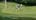 Couple high five on the putting green.