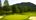 Golf at the Homestead