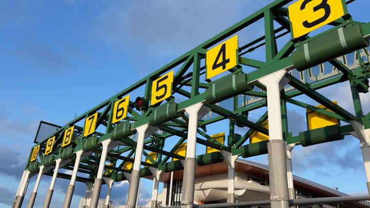 Starting gate at horse track.