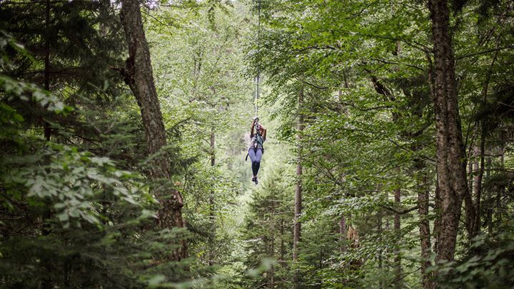 Bretton Woods Canopy Tour