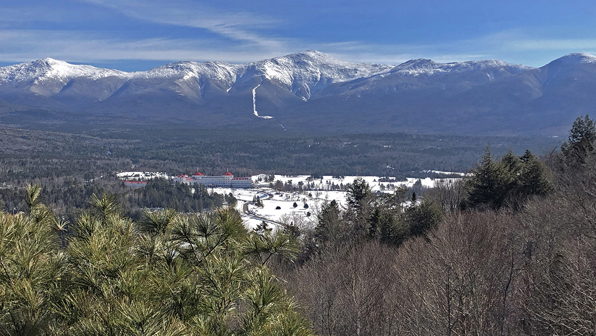 Bretton Woods Canopy Tour