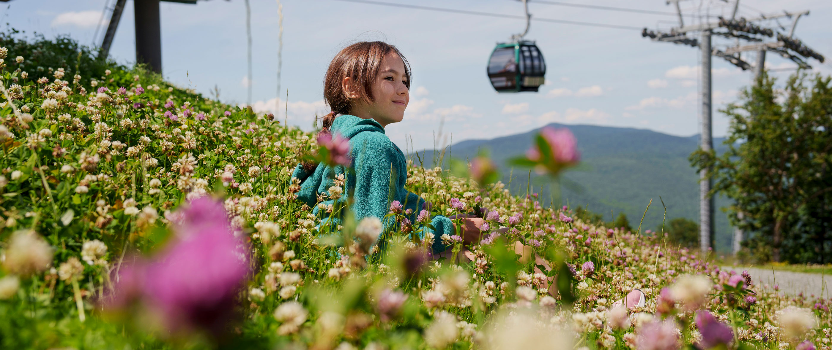 gondola in flower field