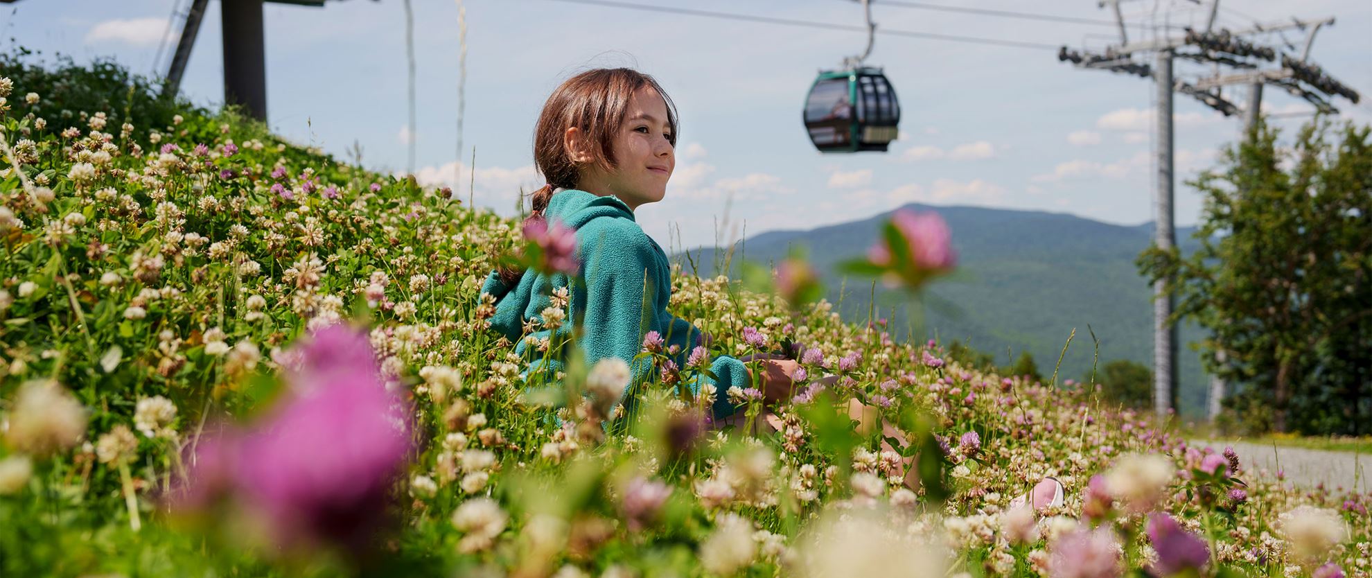 gondola in flower field