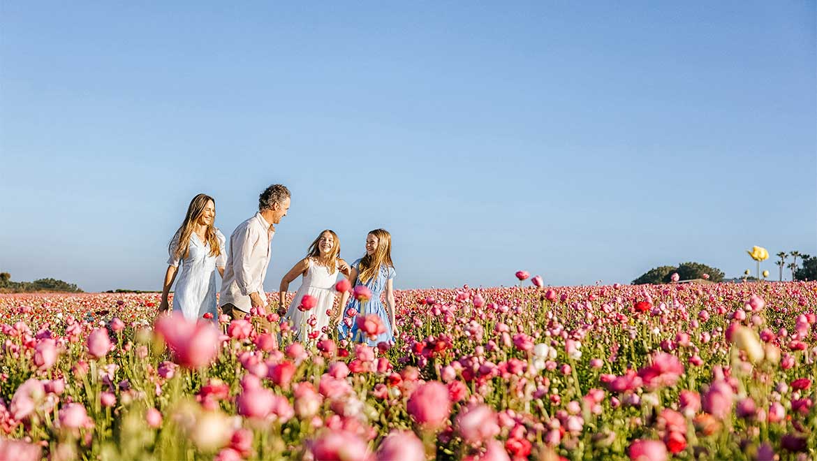 Family walking through flower fields