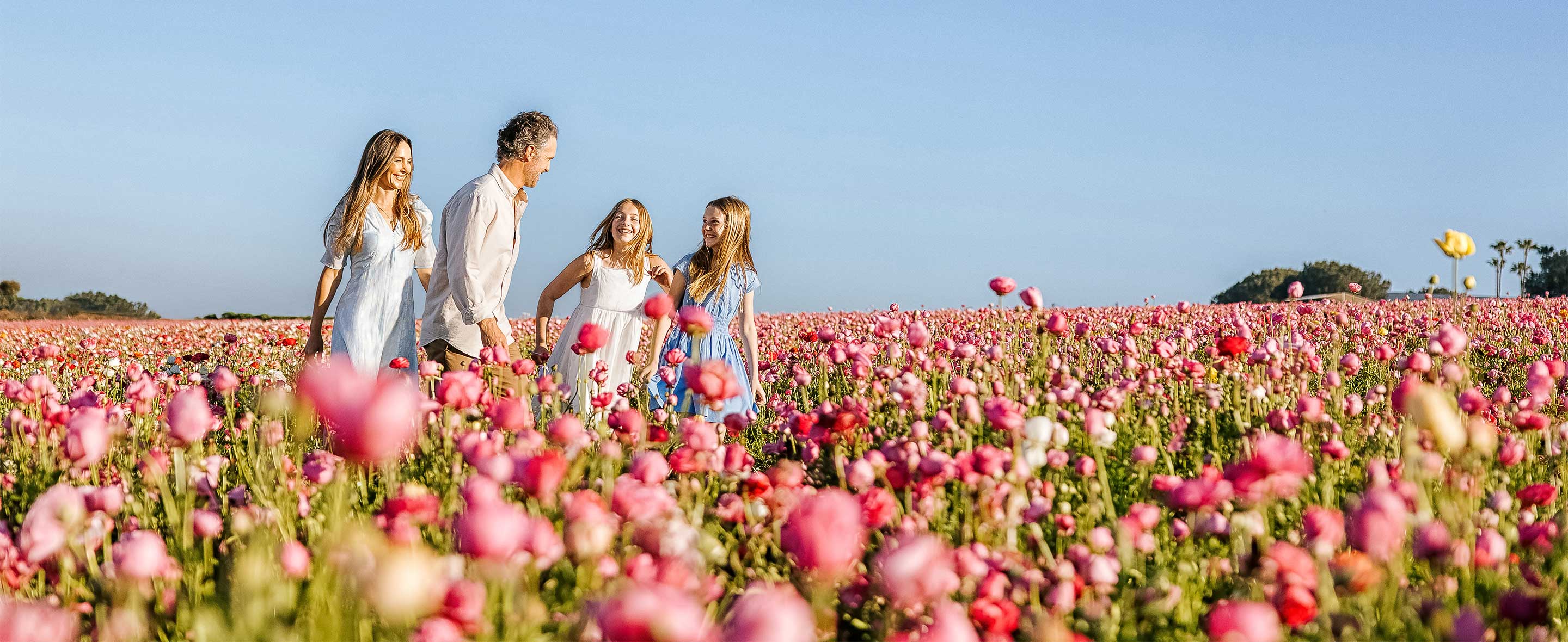 Family walking through flower field