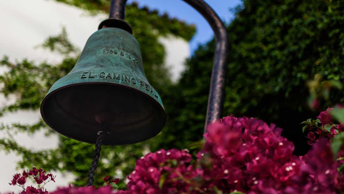 Bell