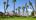 Golf course in Palm Springs