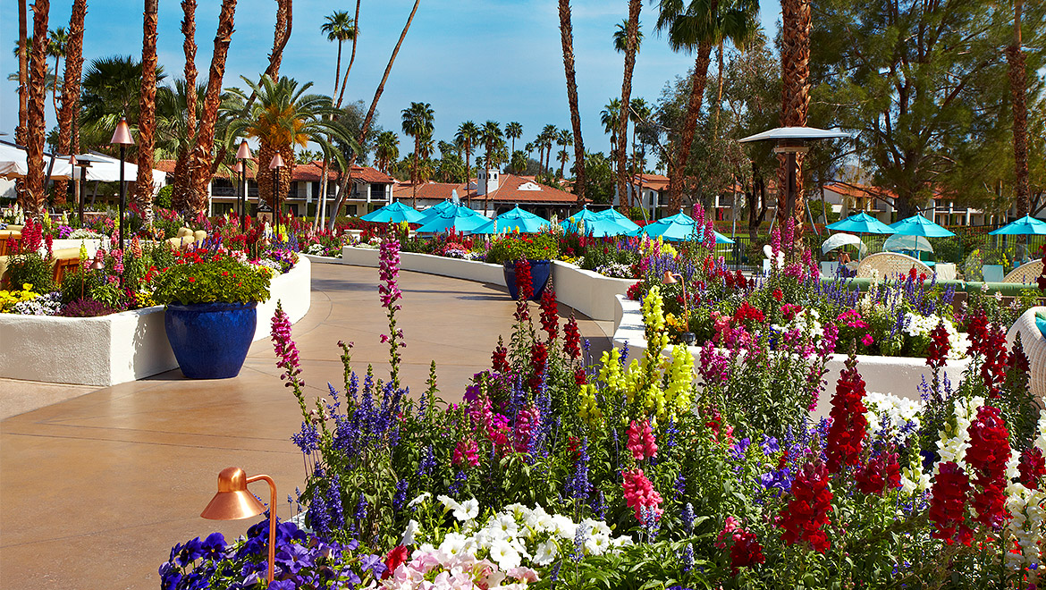 Flowers in the Plaza