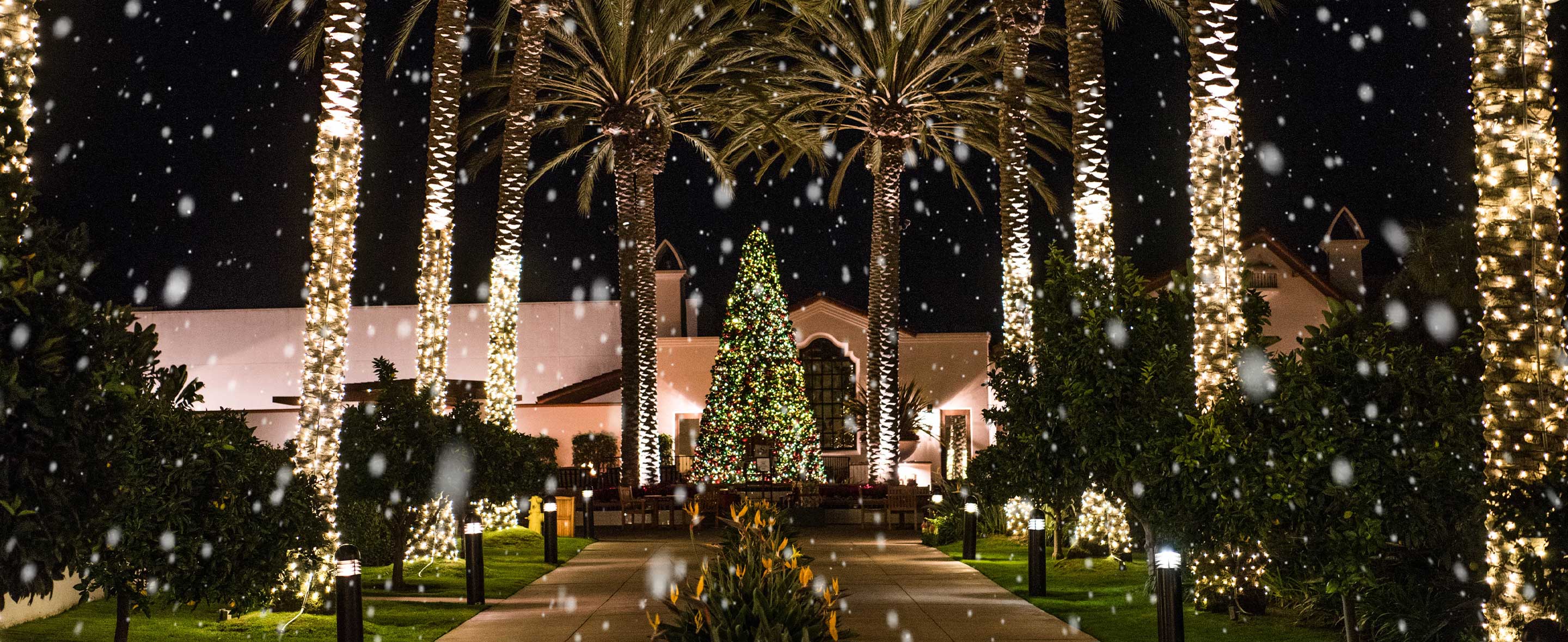 Outdoor Christmas tree