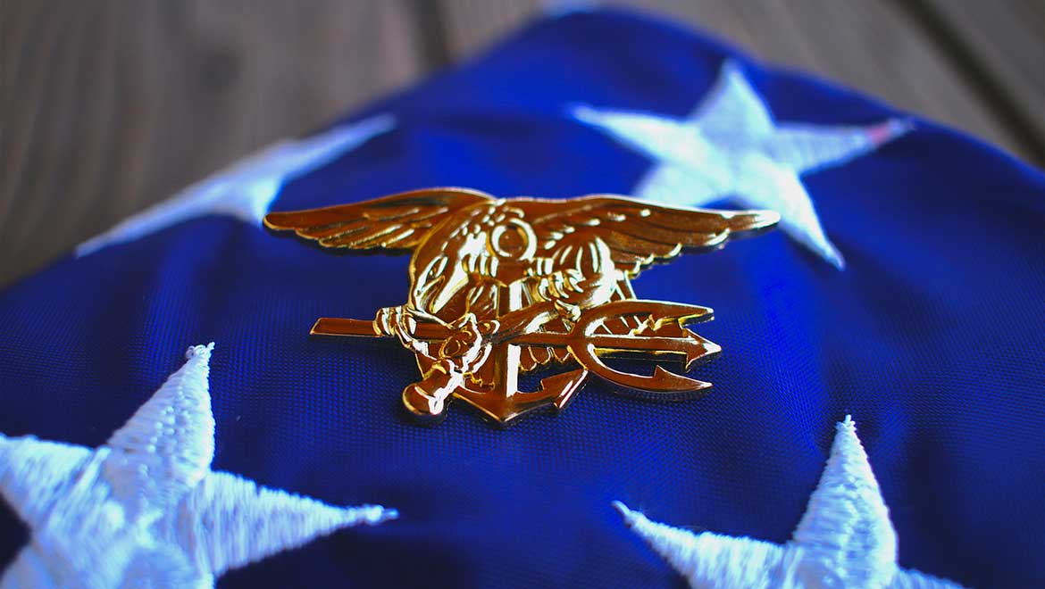 Navy Seal Insignia