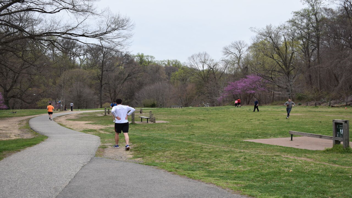 Rock Creek Park 