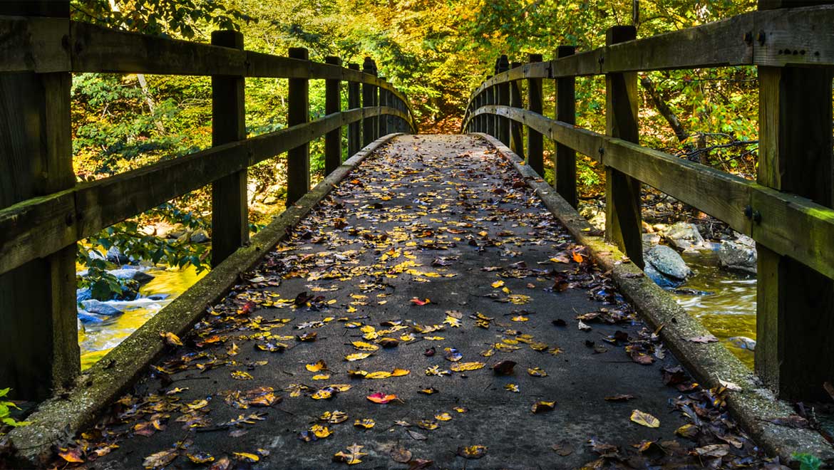 Rock Creek Park