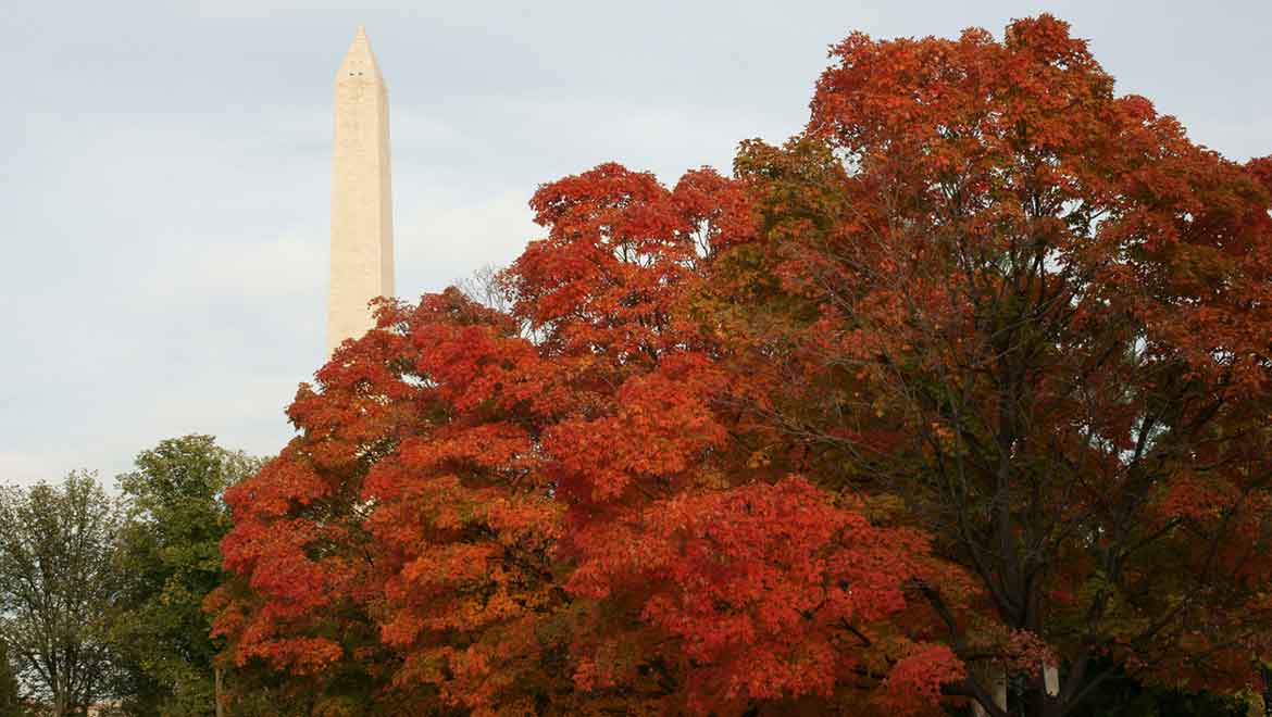 monument in fall season