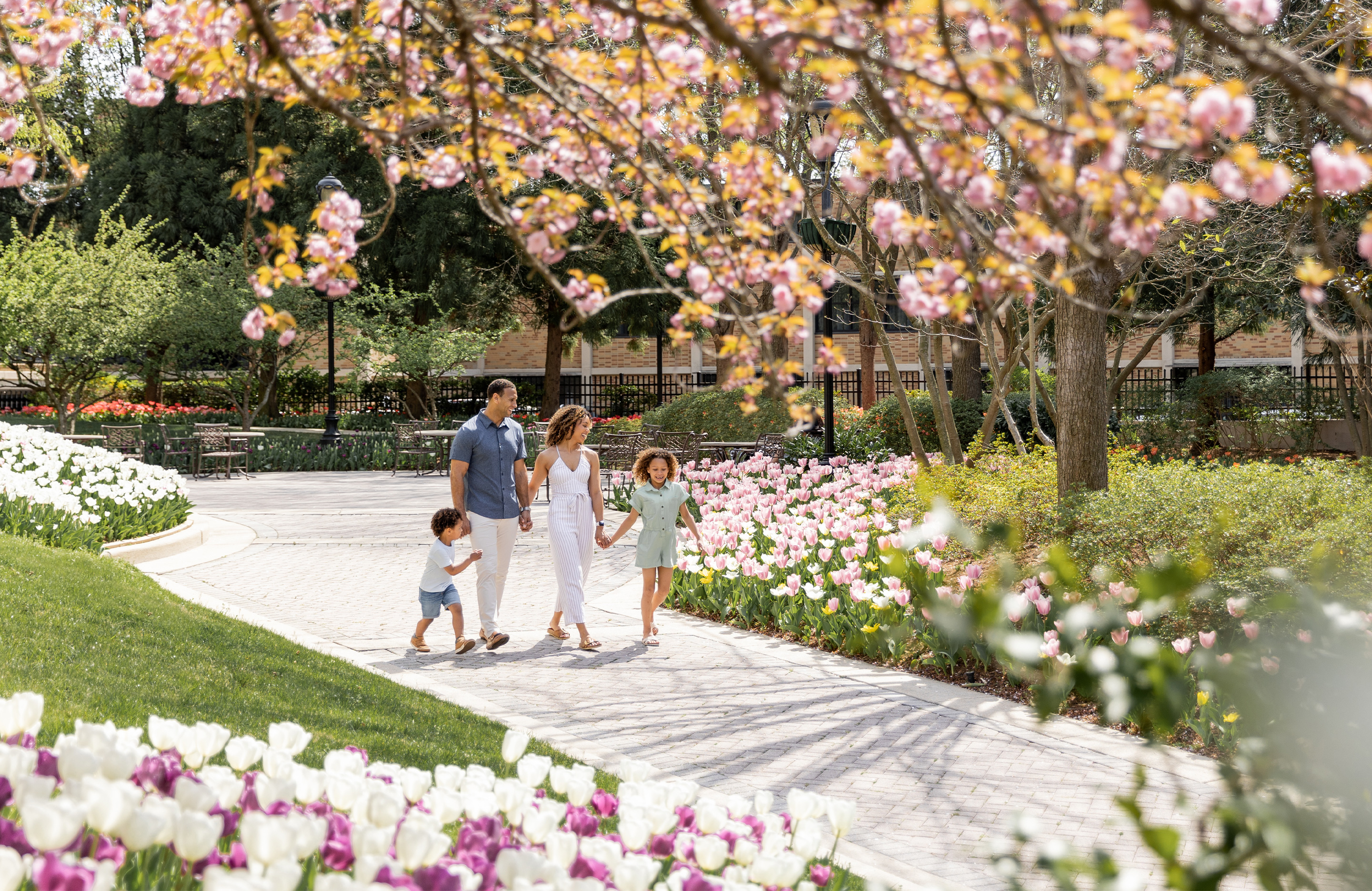 Spring Somewhere New