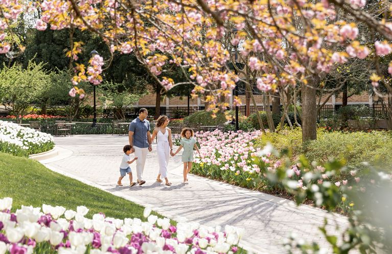 Spring Somewhere New