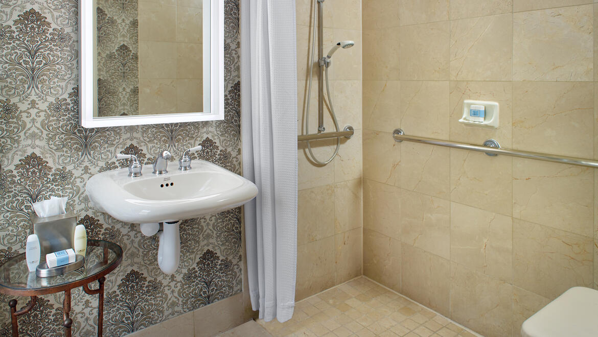 Deluxe King Accessible Roll-in Shower Bathroom