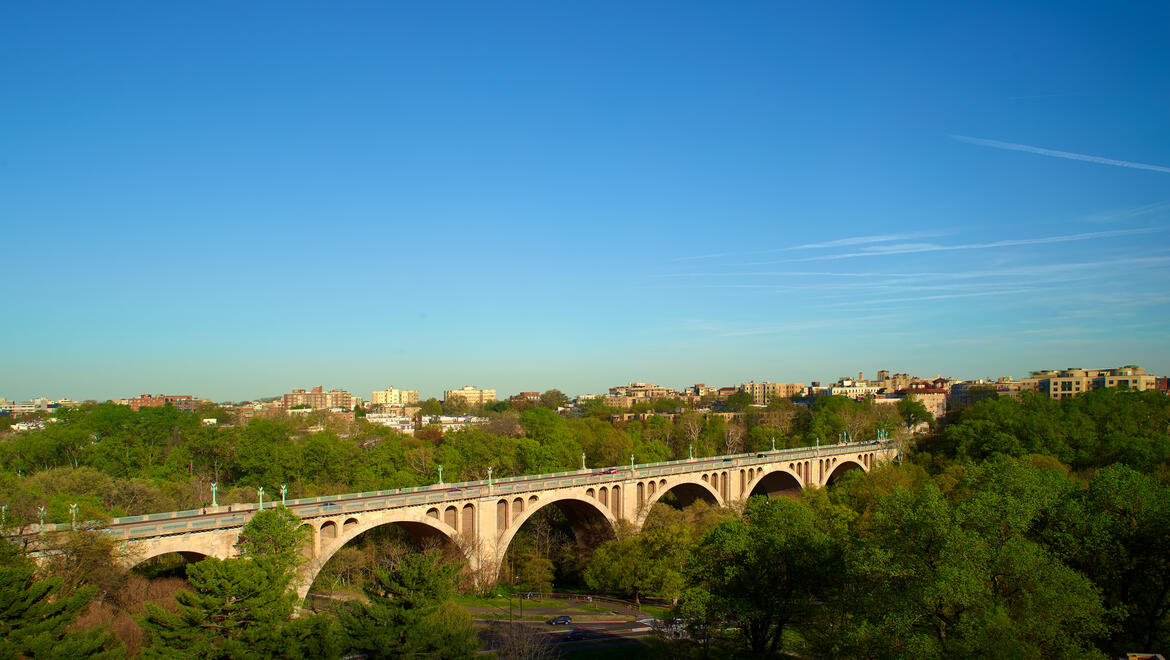 Premier Room Bridge View
